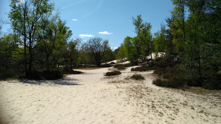 Kletterwoche in Frankreich Fontainebleau - Ferienspaß – Bild 4